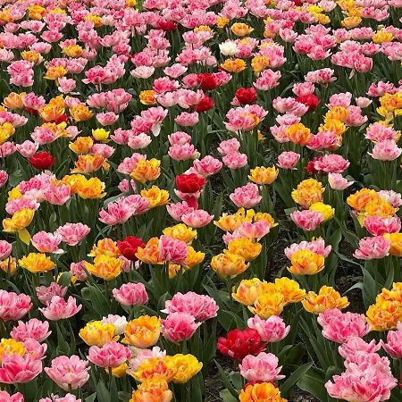 Strandvilla Meerzeit