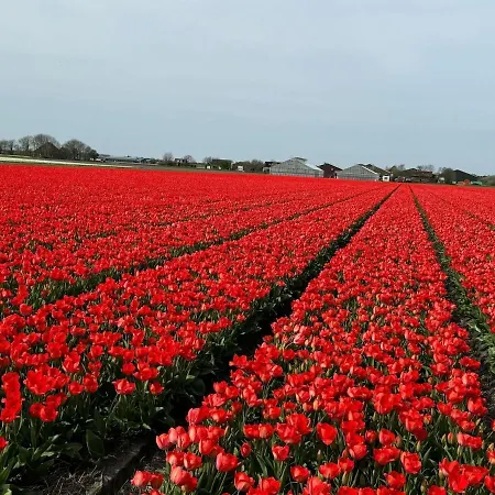 Strandvilla Meerzeit * ユリアーナドルプ